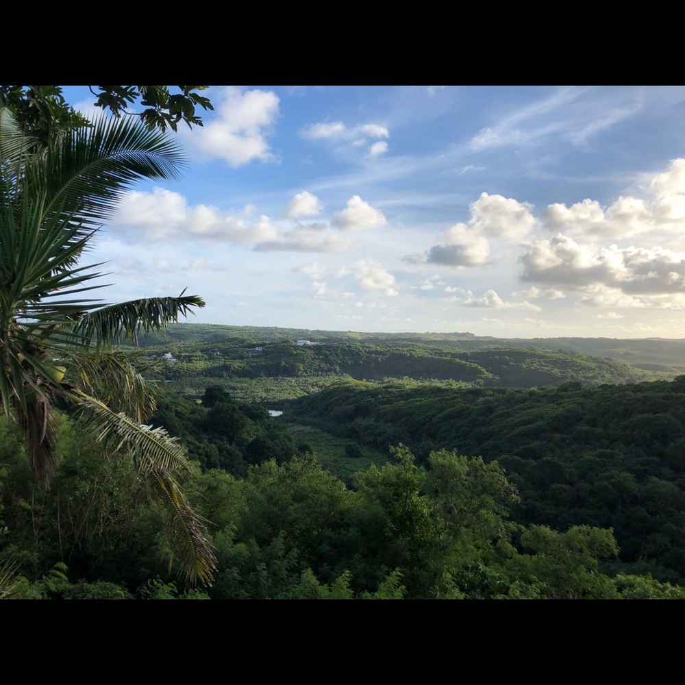 Meet your Posher, Julietta